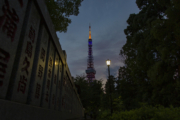 夕暮れの東京タワー（熊野神社前）