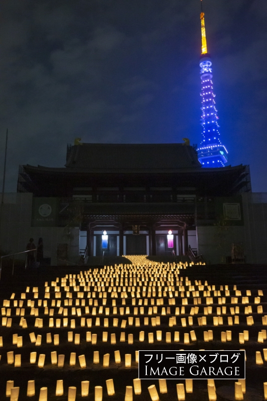 増上寺七夕まつり和紙キャンドルナイト（2021）のフリー写真素材（無料画像）