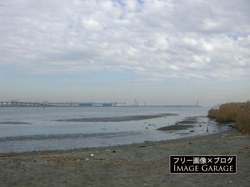多摩川河口の干潟のフリー写真素材（無料画像）