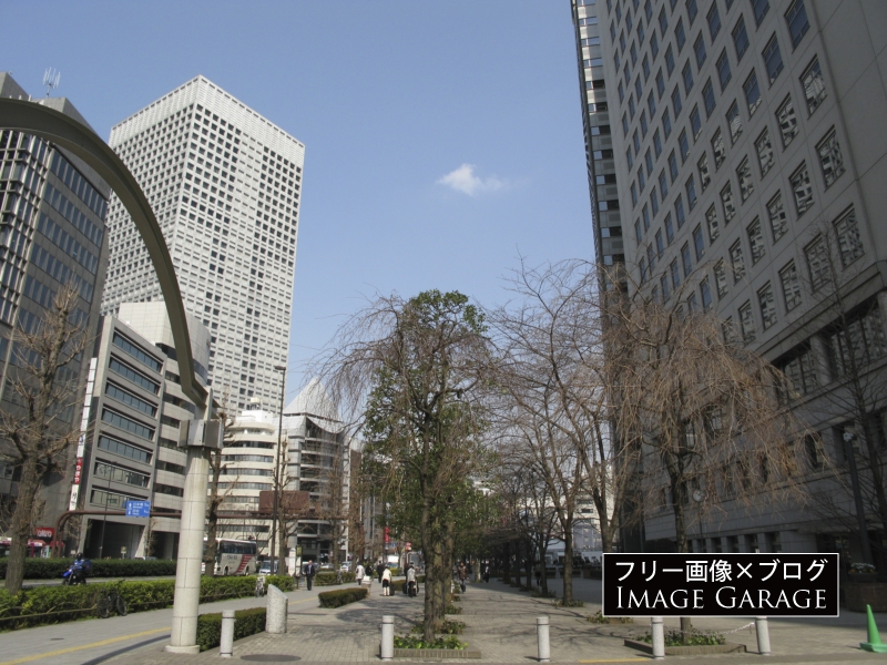 新宿の街並み（文化服装学院前）のフリー写真素材（無料画像）