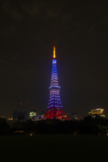 海色の東京タワーの夜景（縦）