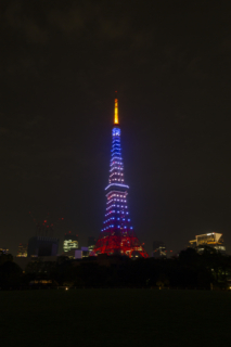 海色の東京タワーの夜景（縦）
