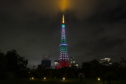 東京タワーの夜景（8月山色）