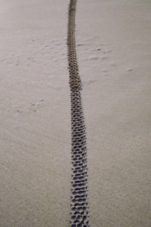 砂浜に残るバイクのタイヤ跡