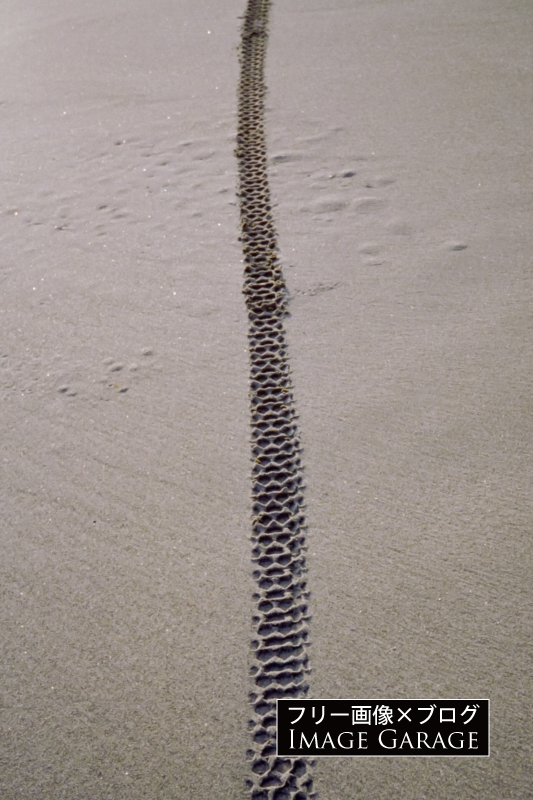 砂浜に残るバイクのタイヤ跡のフリー写真素材（無料画像）