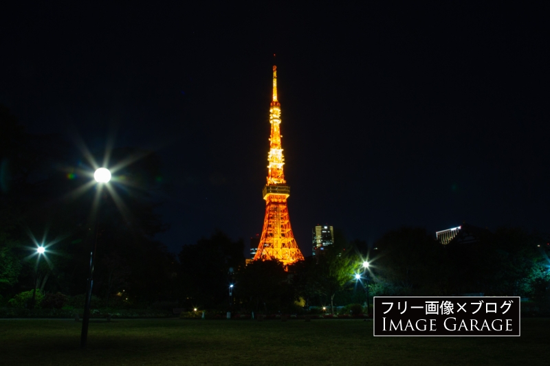 東京タワー・ランドマークライトのフリー写真素材（無料画像）