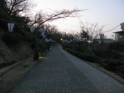 早朝の千光寺公園