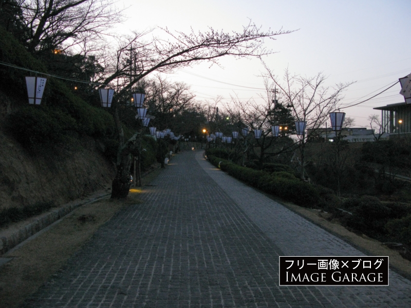 早朝の千光寺公園のフリー写真素材（無料画像）