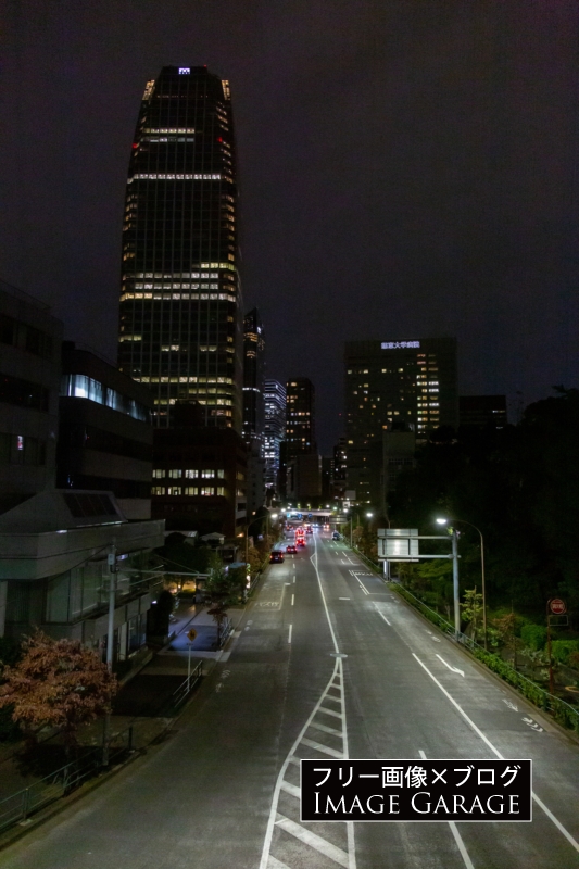 芝公園山内歩道橋からの夜景（愛宕グリーンヒルズ方面）のフリー写真素材（無料画像）