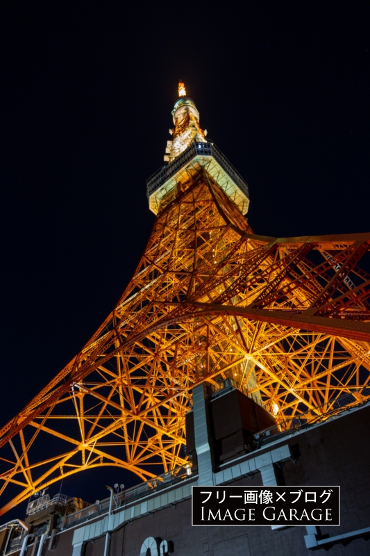 夜の東京タワー（真下から）のフリー写真素材（無料画像）