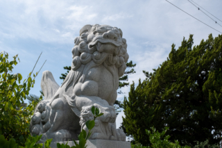 森戸神社の狛犬（左側）