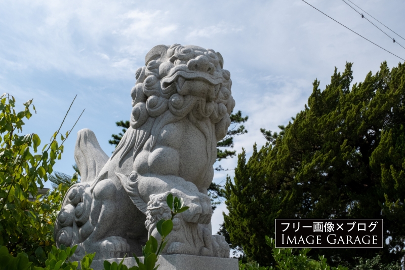 森戸神社の狛犬（左側）のフリー写真素材（無料画像）