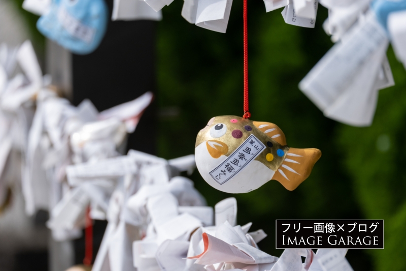 森戸神社の多幸多福（タコフグ）みくじのフリー写真素材（無料画像）