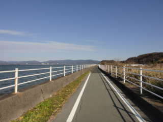 浜名湖周遊自転車道線（県道379号線）