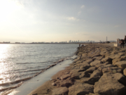 葛西臨海公園・海辺の岩場（東京オリンピック前の風景）