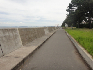 堤防が低い頃の福浦岸壁