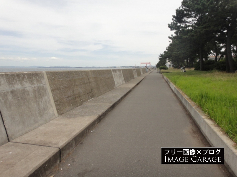 堤防が低い頃の福浦岸壁のフリー写真素材（無料画像）