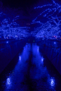 NAKAMEGURO 青の洞窟（中目黒・目黒川）