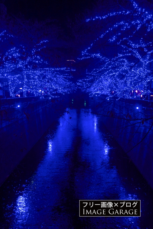 NAKAMEGURO 青の洞窟（中目黒・目黒川）のフリー画像（無料写真素材）