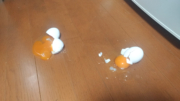 床に落ちて割れた卵