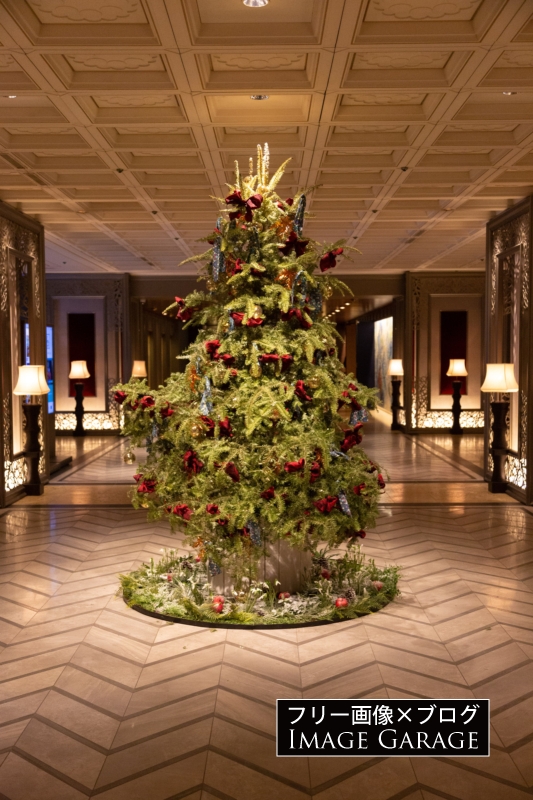 クリスマスツリー（東京プリンスホテル 2020）のフリー写真素材（無料画像）