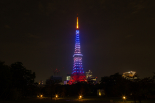 青い東京タワーの夜景（7月・海色）