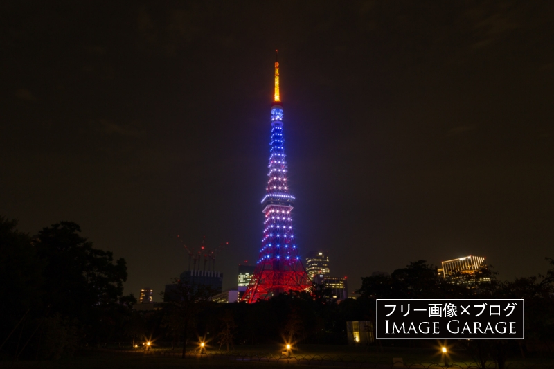 青い東京タワーの夜景（7月・海色）のフリー写真素材（無料画像）