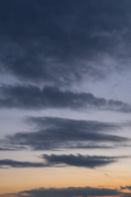 雲の浮く夕焼けの空（縦）