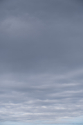 空を覆う層積雲（縦）