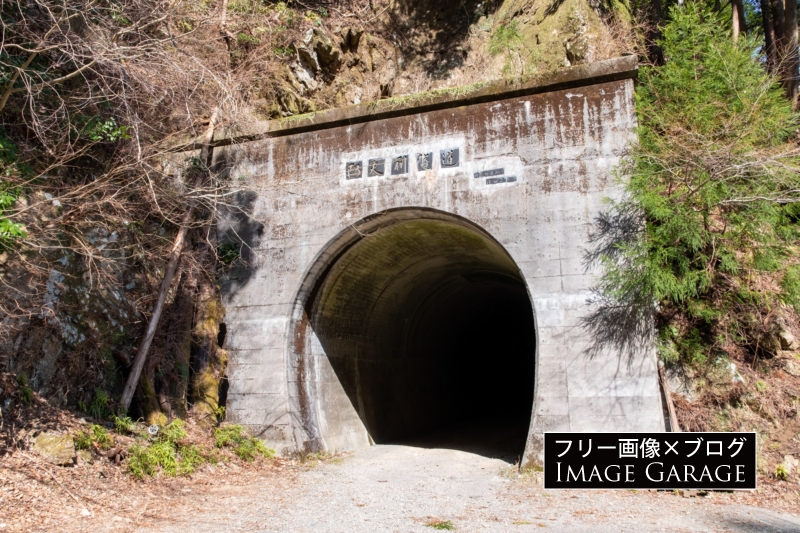 阿夫利隧道 （林道・阿夫利線）