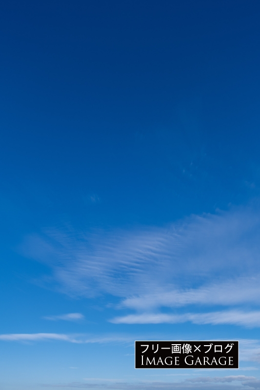 清々しい冬の青空（縦）のフリー写真素材（無料画像）