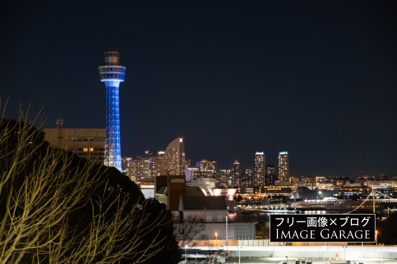 マリンタワーとみなとみらいの夜景（港の見える丘公園より）のフリー写真素材（無料画像）