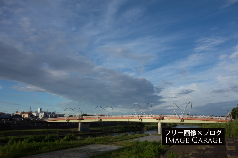 鴨池橋（鴨池人道橋）のフリー写真素材（無料画像）