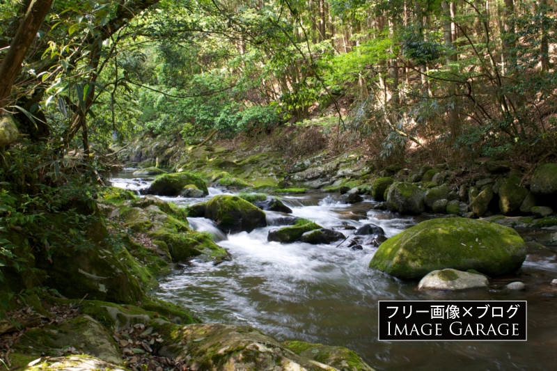 地蔵堂川の渓流のフリー写真素材（無料画像）