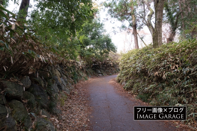 天覧山への登山道（入口付近）のフリー写真素材（無料画像）