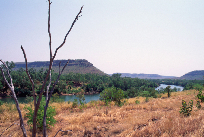 オーストラリア・ノーザンテリトリーの風景のフリー写真素材