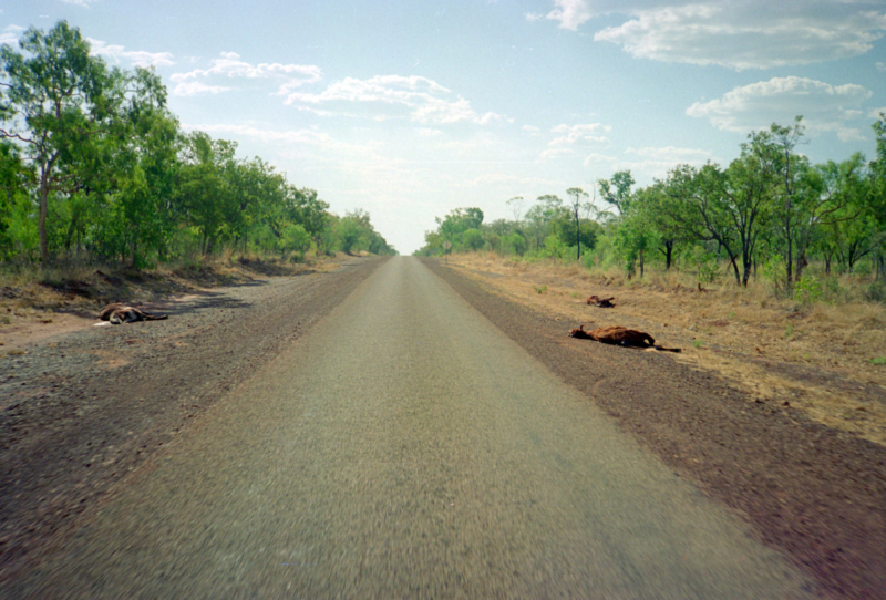 オーストラリア・ノーザンテリトリーの道のフリー写真素材