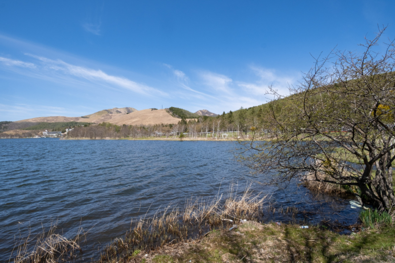 白樺湖のフリー写真素材