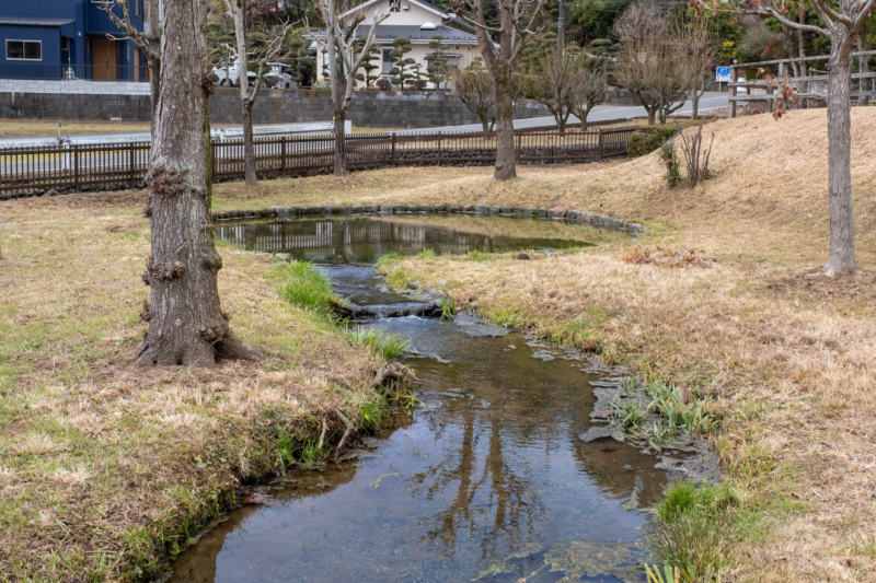 鶴見川源流の泉のフリー写真素材