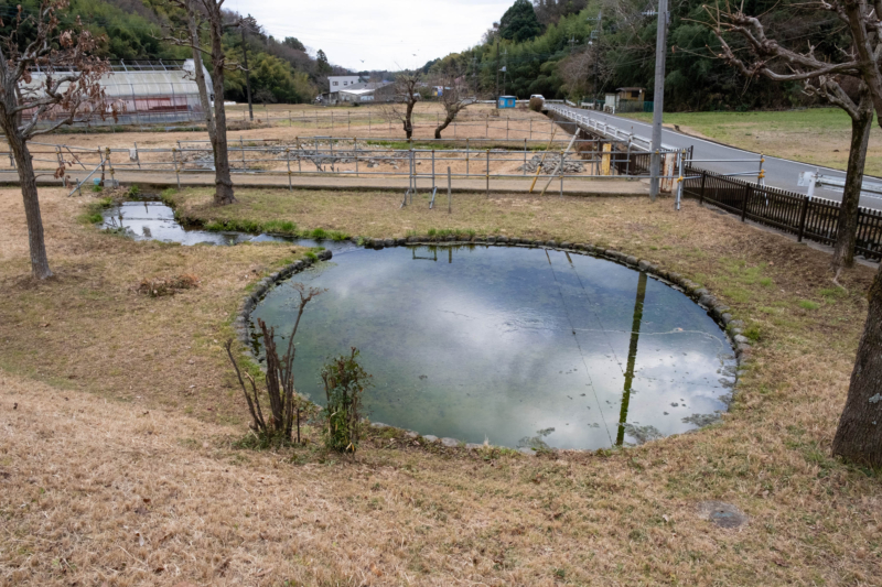 鶴見川源流の泉のフリー写真素材